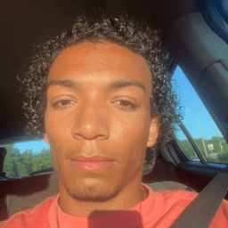 Dominic Whitfield, Jesters